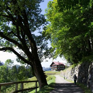 Nicht verpassen! Die erste Station am Bergahorn