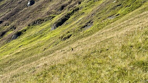 Photo de Stefan Knecht 1 le long du parcours