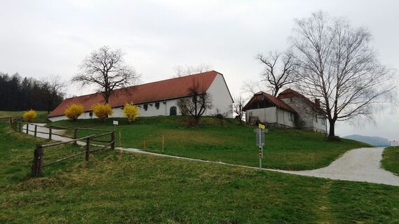 Außenhof Maria Krug - Lipizzanergestüt Piber
