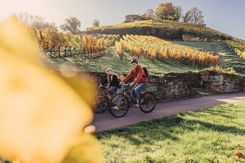 HeilbronnerLand Herbst Bilder 2022 169