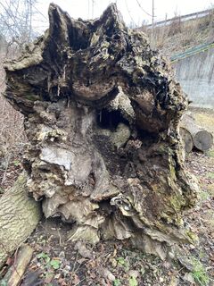 Foto von Erika Künzi entlang der Tour