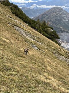 Photo de Tobias Haas 3 le long du parcours