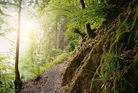 Natursteig Sieg bei Dattenfeld