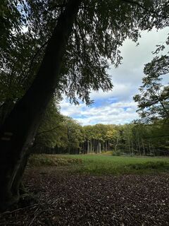 Foto de Iwona Sakowicz a lo largo del recorrido