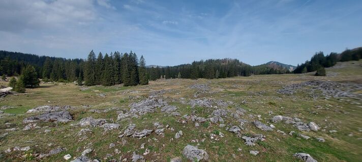 Fotografija s spletne strani Klaus Gruber 3 na poti