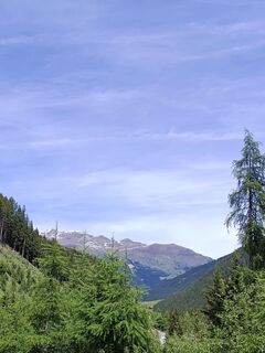 Photo de Pinzger Petra ♀️?? le long du parcours