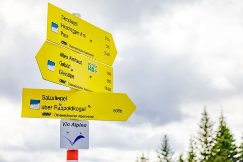 Wegweiser Salzstiegl, Rappoldkogel, Altes ALmhaus