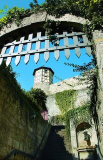 Burg Maienfels, Wüstenrot