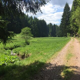 Tal der "Weißen Schwarza"