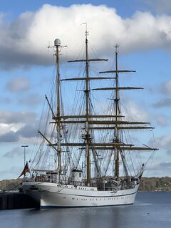 Fotografia z Harald Engel na trase