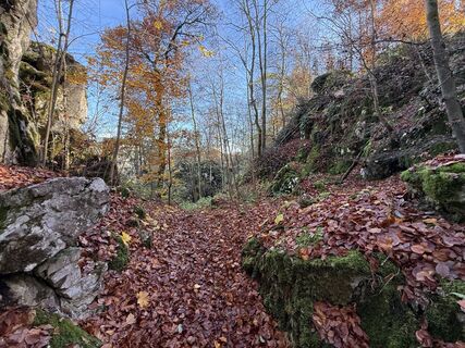 Foto de Robert Meier a lo largo del recorrido