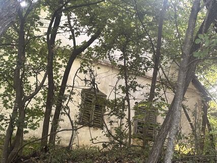 Fotografia z Várhelyi Alicia na trase