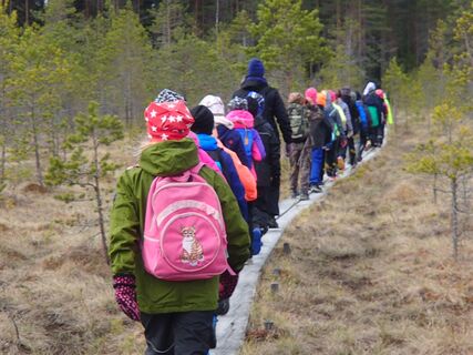 SUMPFGEBIET HÄMMÄAUTEENSUO