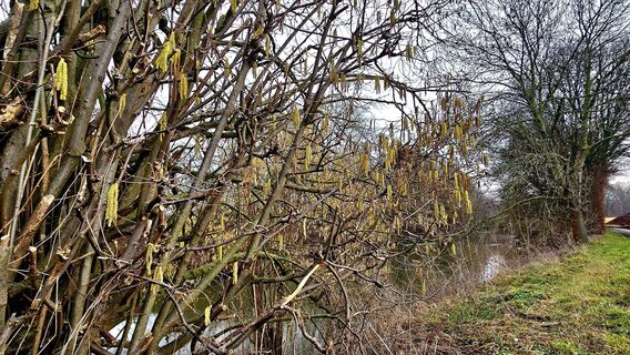 Zdjęcie z Edit Szoboszlay wzdłuż trasy