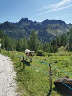 Foto von Vida Burja entlang der Tour
