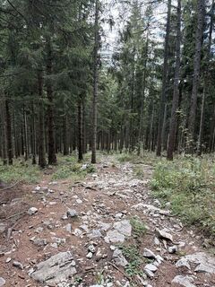 Photo de Flo le long du parcours