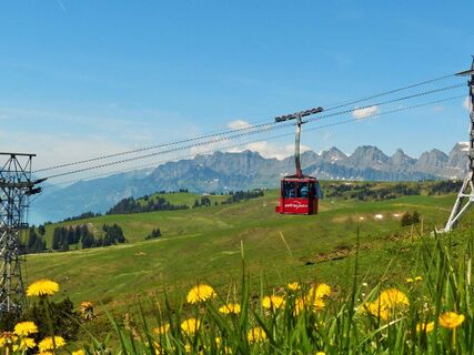 Palfriesbahn