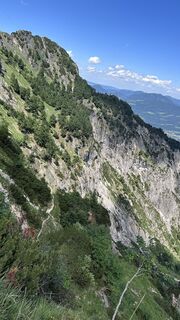 Foto von Mountain Cat ? ⛰️ entlang der Tour