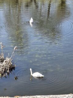 Zdjęcie z Peter spierenburg wzdłuż trasy
