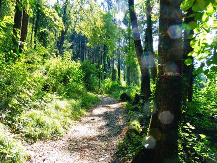 Wanderbares Wolfsberg