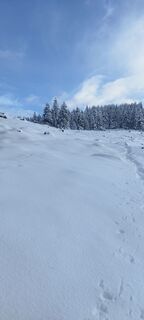 Photo de veronika bozic le long du parcours