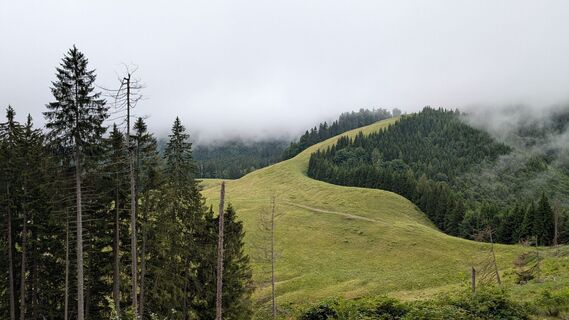 Fotografija s spletne strani Klaus Lehner na poti