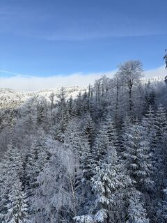 Foto von Thomas entlang der Tour