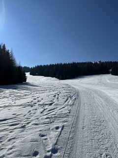 Photo de Schabsi le long du parcours