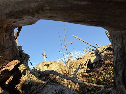 Foto von Dani Geiger / Natur_erleben_dg entlang der Tour