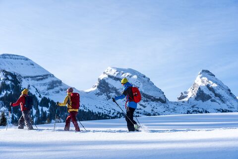 Schneeschuhtrail Sellamatt - Mittelstofel - Zinggen