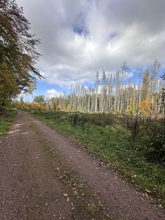 Foto van Gilles Engel langs de tour