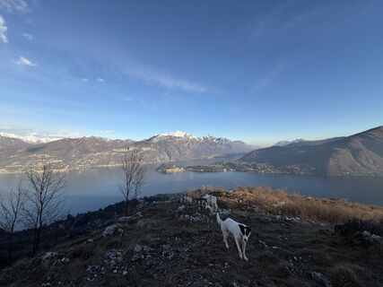 Foto von Jelena Kuehn entlang der Tour