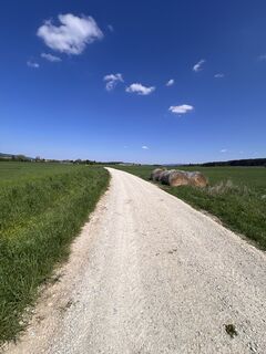 Fotografija s spletne strani Patrick 30 na poti