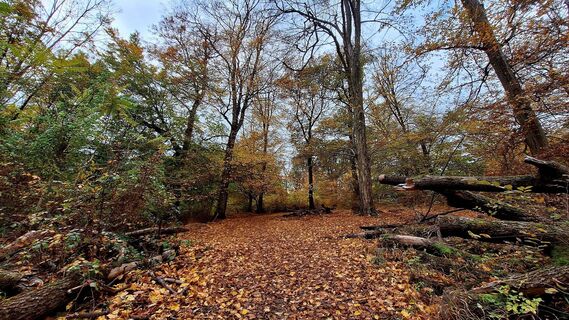 Фото с сайта Regina Fleischmann во время экскурсии