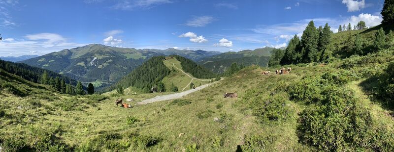 Photo de Koen De Wit le long du parcours