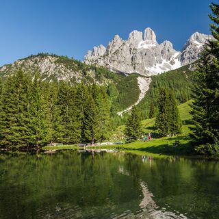Almsee