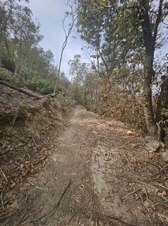 Photo de Eli le long du parcours