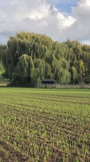 Foto von Evgeny Shirkin entlang der Tour