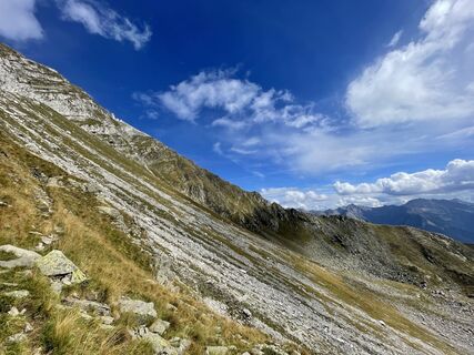 Photo de Silke Bardon-Martis le long du parcours