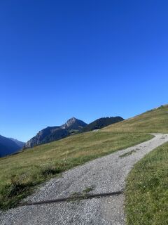 Fotografija s spletne strani Bene Schadel na poti