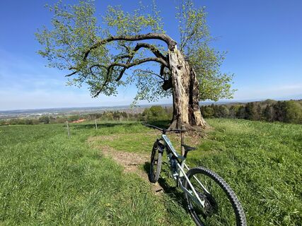 Fotografie z Sven Krieblin na trase