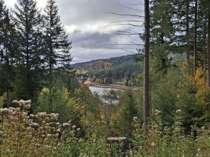 Fotografia z Christian Krebs na trase