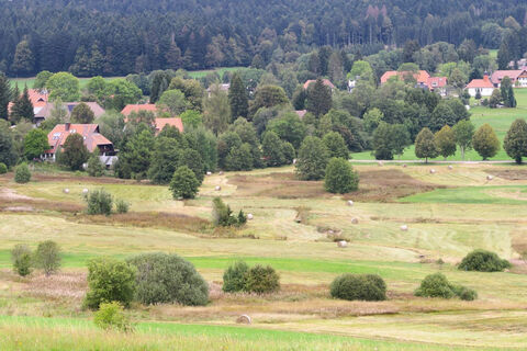 Feuchtwiesen bei Großherrischwand