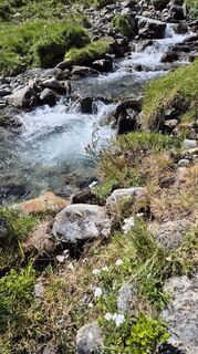Photo de Cilli Waldhof le long du parcours