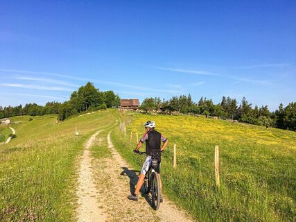 remschniggalm - wein, alm und mehr._img_53249558