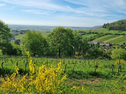 Zdjęcie z Dirk Steinert wzdłuż trasy