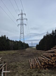 Foto von Hannes Hirsch entlang der Tour
