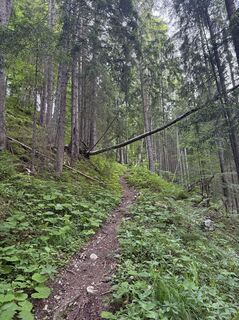 Foto von Manuel Fink entlang der Tour