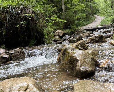 Foto van Dani Geiger / Natur_erleben_dg langs de tour