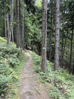 Fotografija s spletne strani Reinhard Frewein na poti